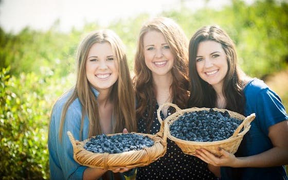 Triple Delight Blueberries