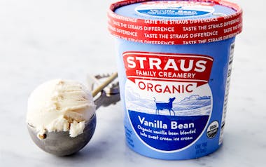 Organic Vanilla Bean Ice Cream