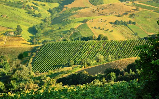Lunaria Winery