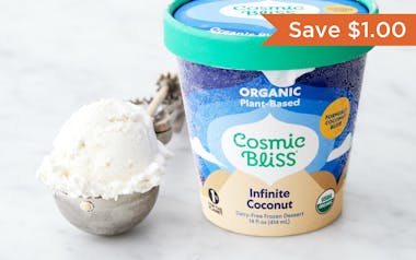 Organic Infinite Coconut Vegan Ice Cream