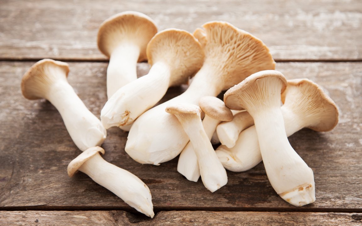 Organic King Trumpet Mushrooms Gourmet Mushrooms Inc. SF Bay Good