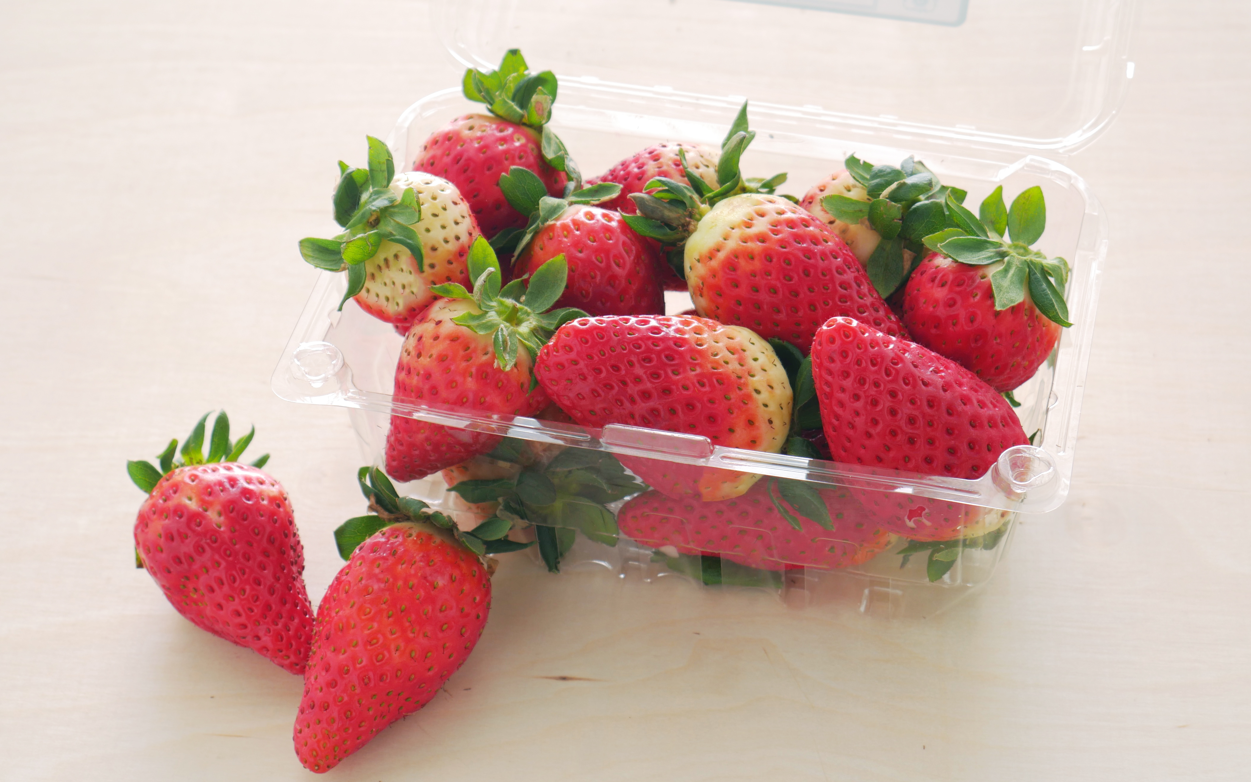 "Early Harvest" Organic Albion Strawberries 1 lb From Our Farmers