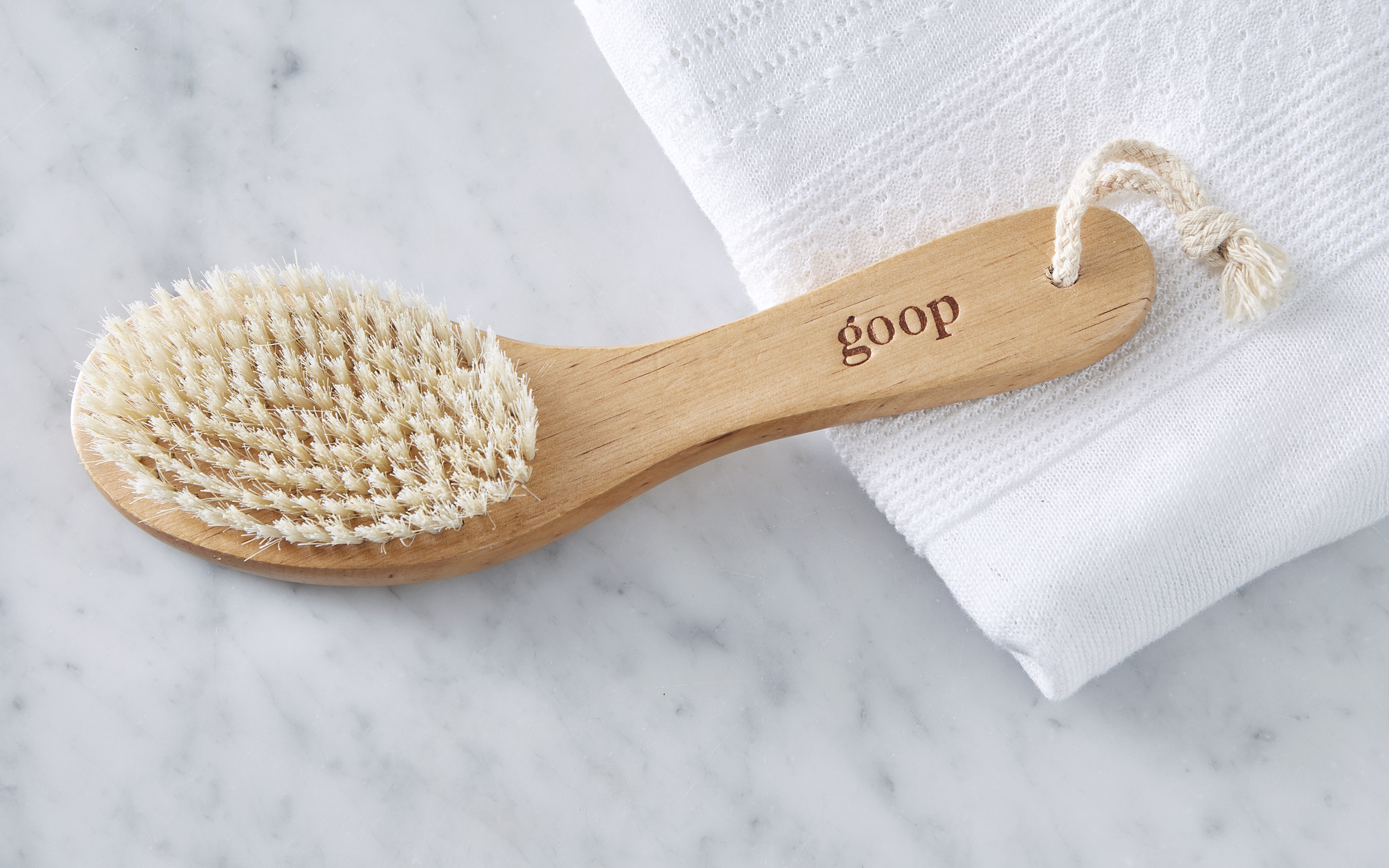 G.Tox Ultimate Dry Brush 1 count goop Good Eggs