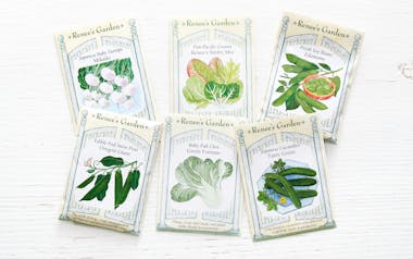 Asian Vegetable Seeds Collection