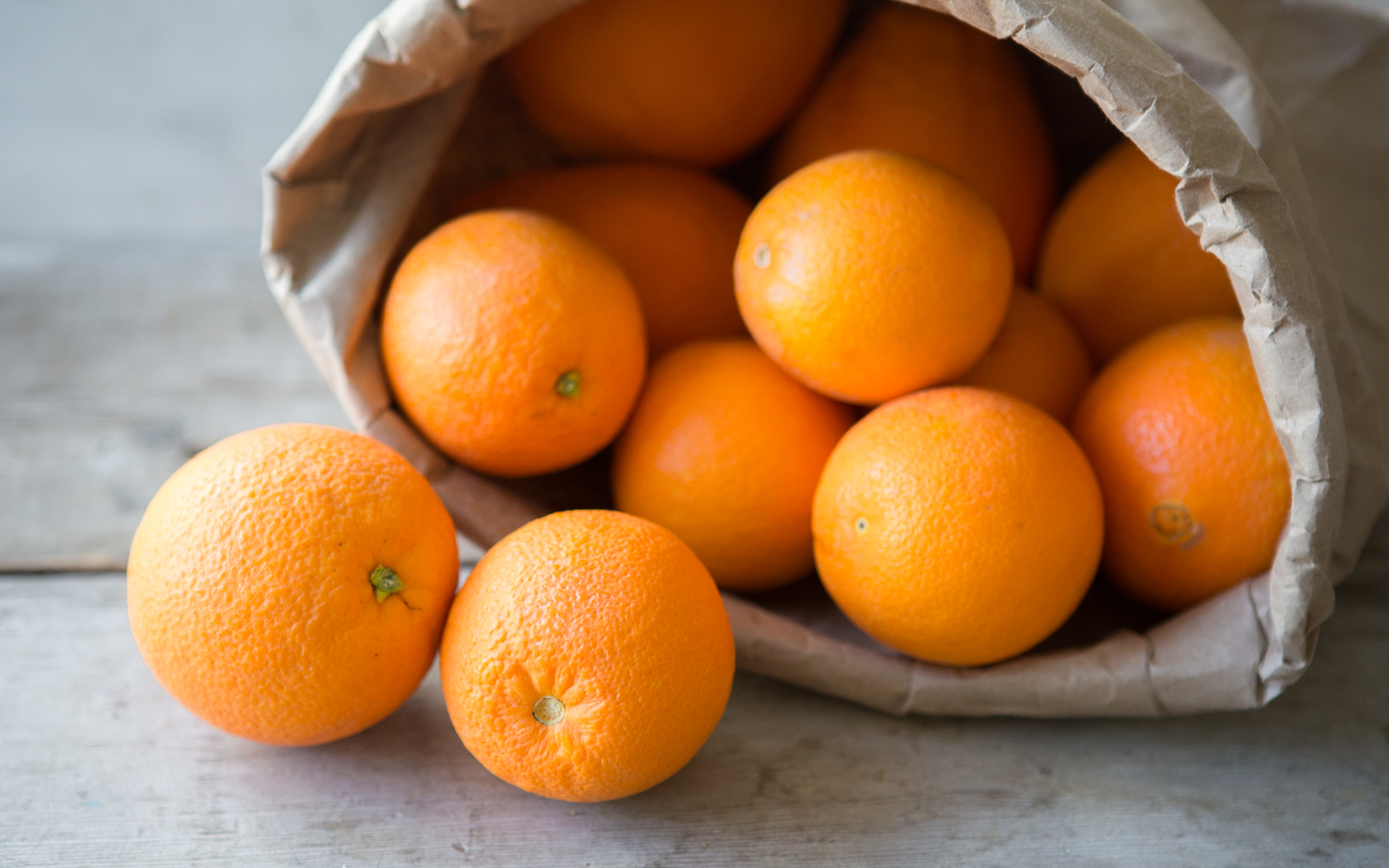 Bulk Washington Navel Oranges 10 lb Will's Avocados Good Eggs