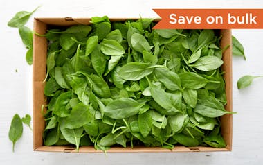 Bulk Pre-Washed Organic Baby Spinach