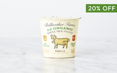 A2 Organic Vanilla Whole Milk Yogurt
