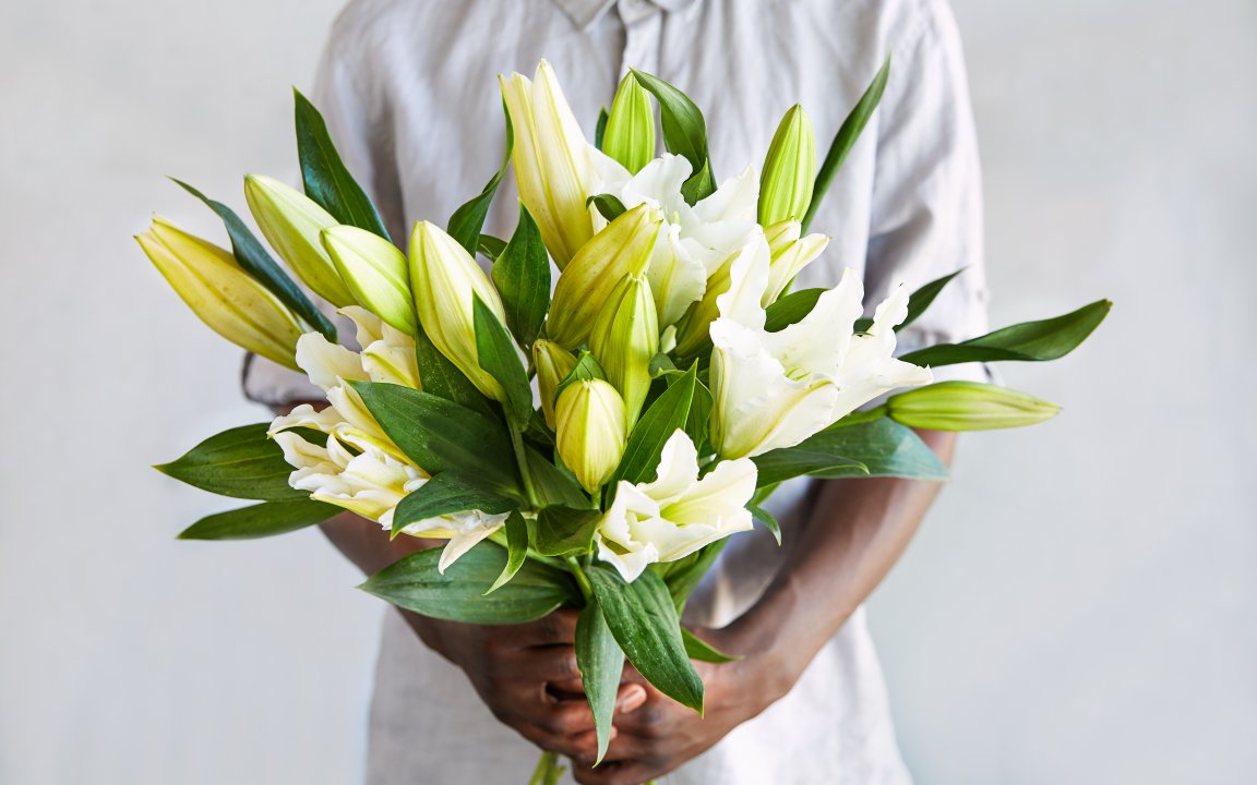 White stargazer online lily