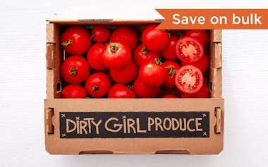 Bulk Organic Dry-Farmed Early Girl Tomatoes