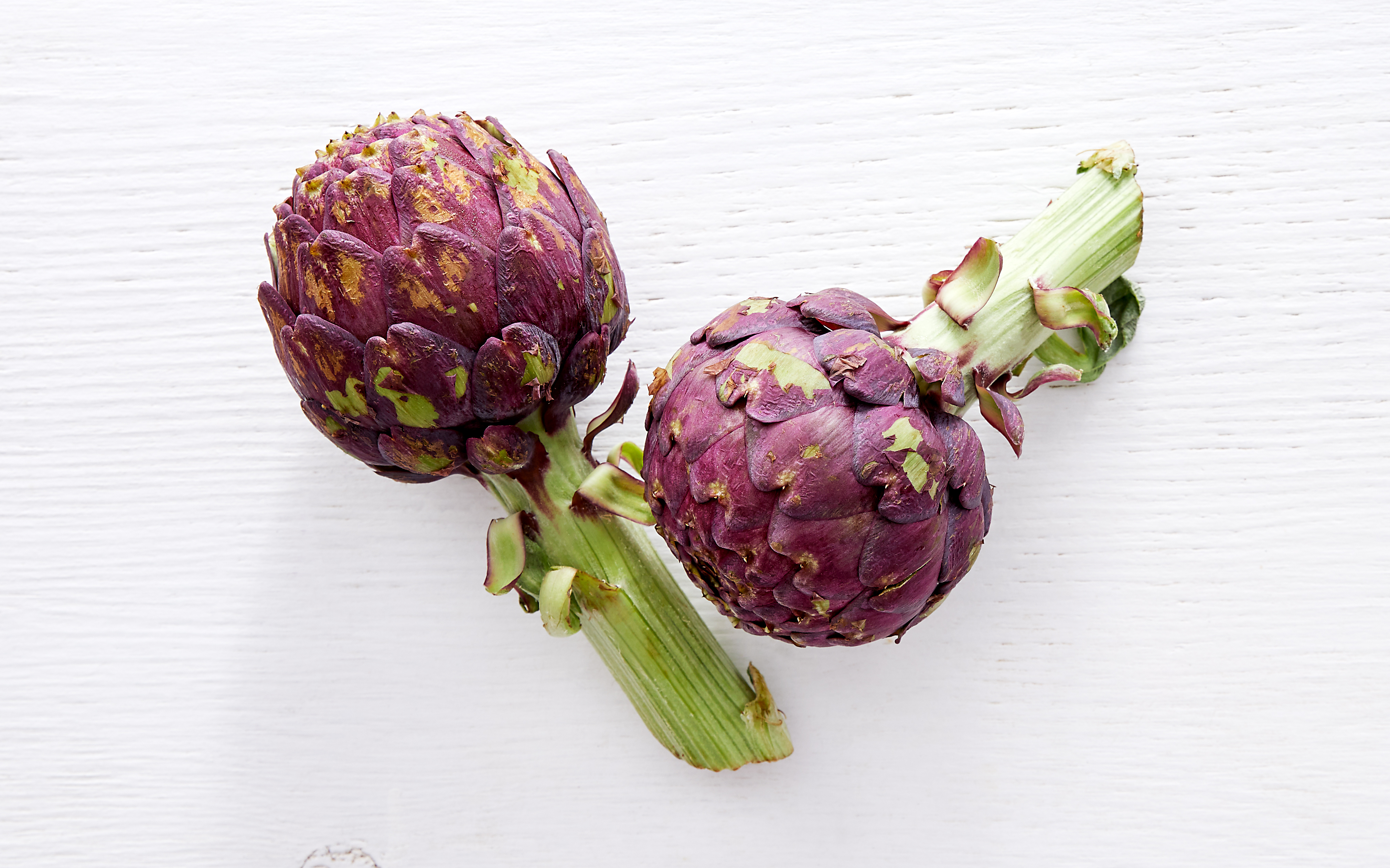 Organic Large Frost-Kissed Purple Artichoke Duo | 2 count | JAS