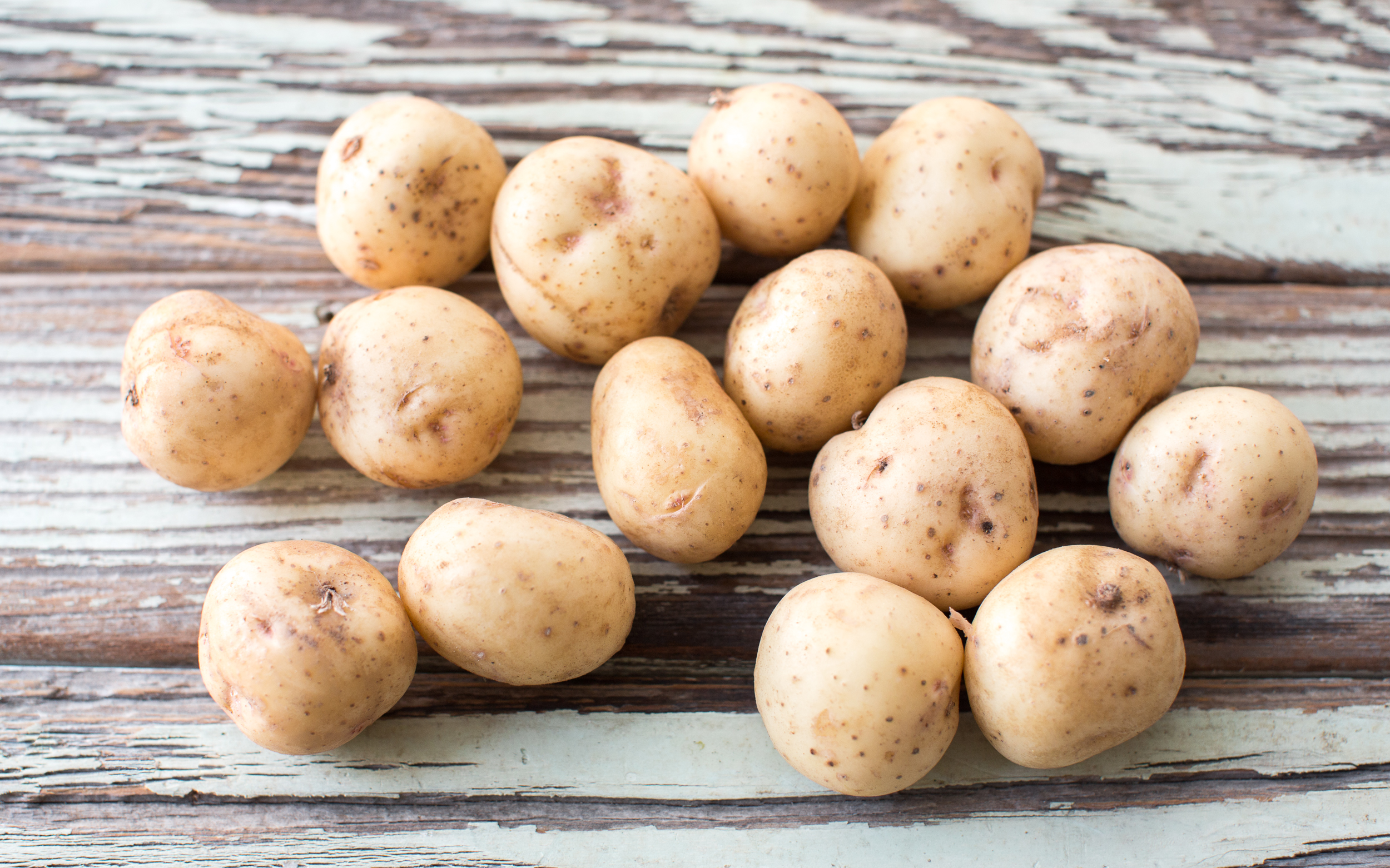 Yukon Gold Casino Atmosphäre