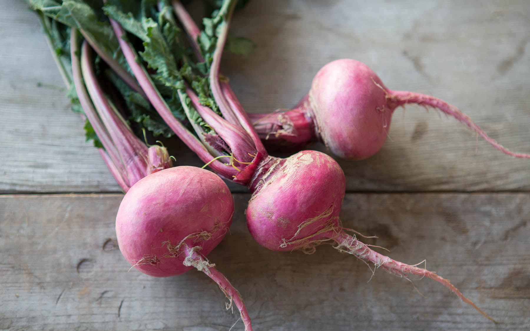 Organic Scarlet Queen Turnips 1 bunch Riverdog Farm Good Eggs