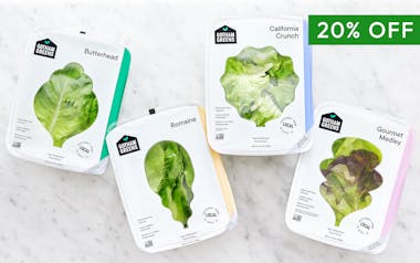 Lettuce Variety Pack
