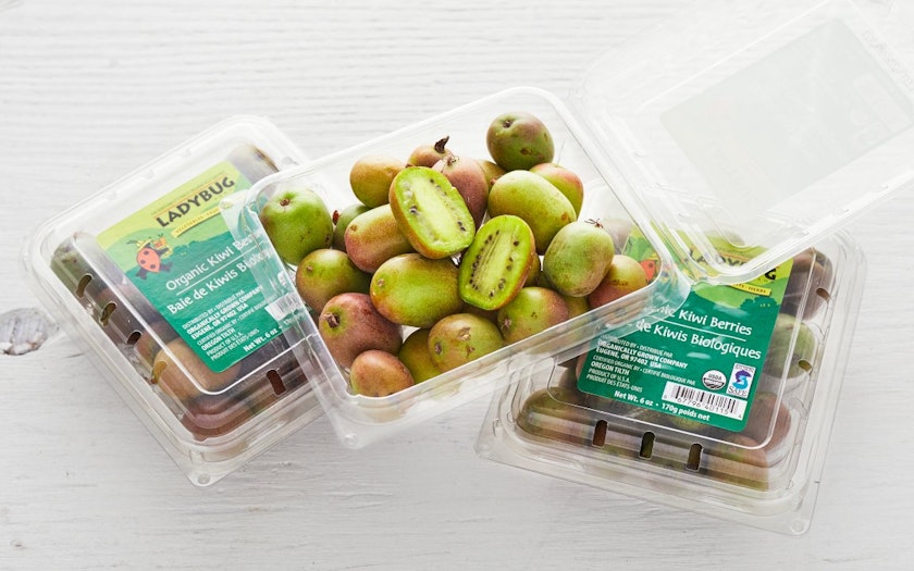 Berry 3-Pack oz | | Kiwi Farms 18 Eggs Good | LADYBUG Organic