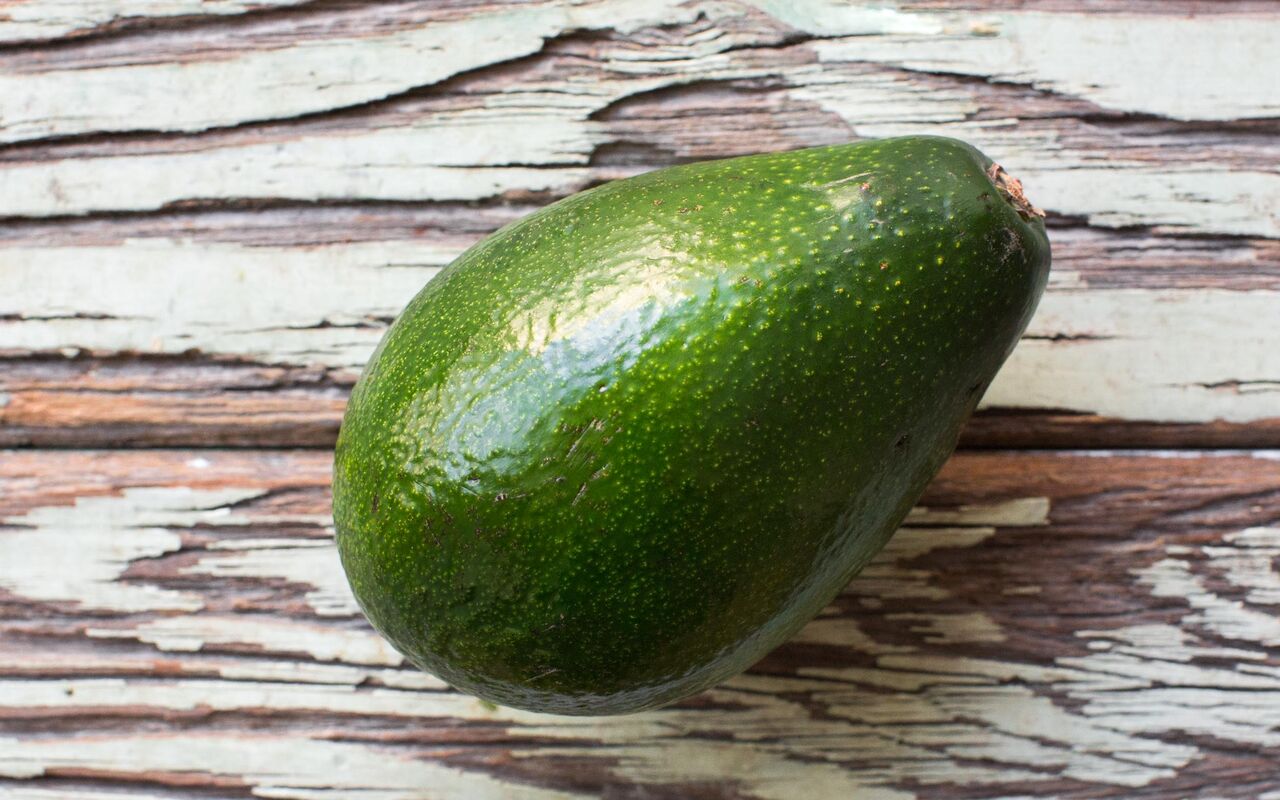 Extra Large Gwen Avocado Will's Avocados SF Bay Good Eggs