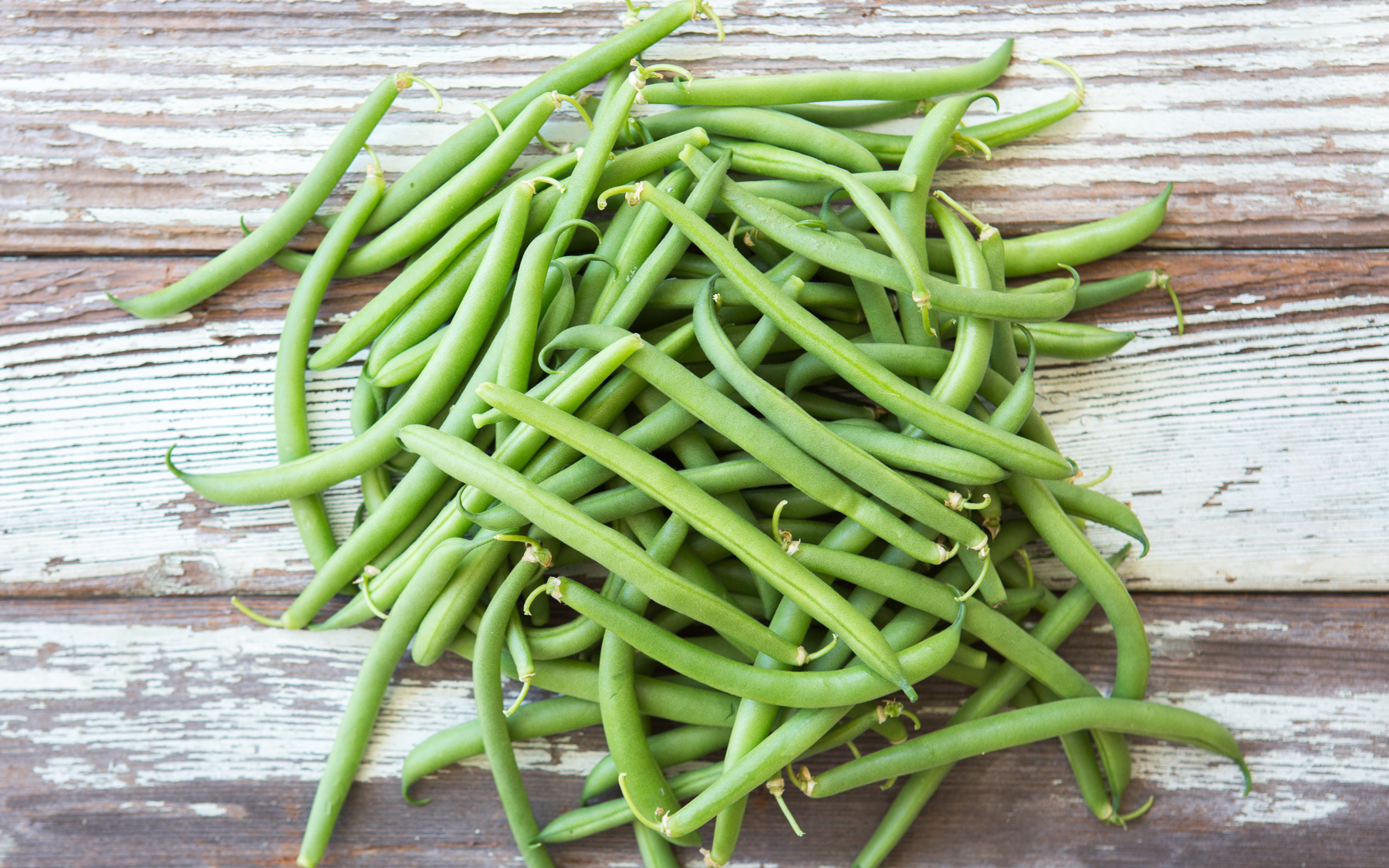 Organic Blue Lake Green Beans 1 lb Lakeside Organic Gardens Good Eggs