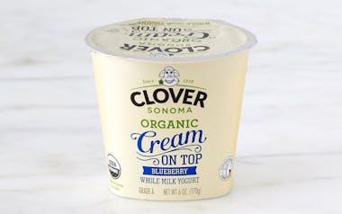 Organic Cream On Top Blueberry Yogurt
