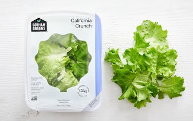 California Crunch Lettuce