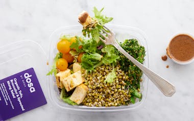 Organic Tofu, Baby Broccoli & Sprouted Mung Bean Salad