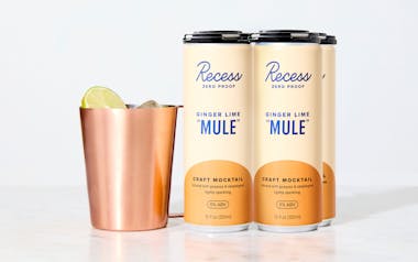 Ginger Lime Mule Craft Mocktails
