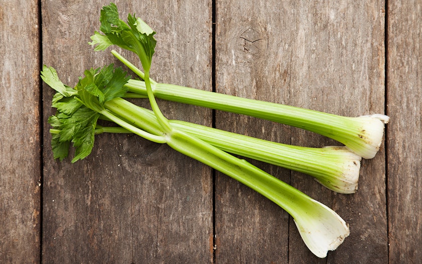  celery stalk 