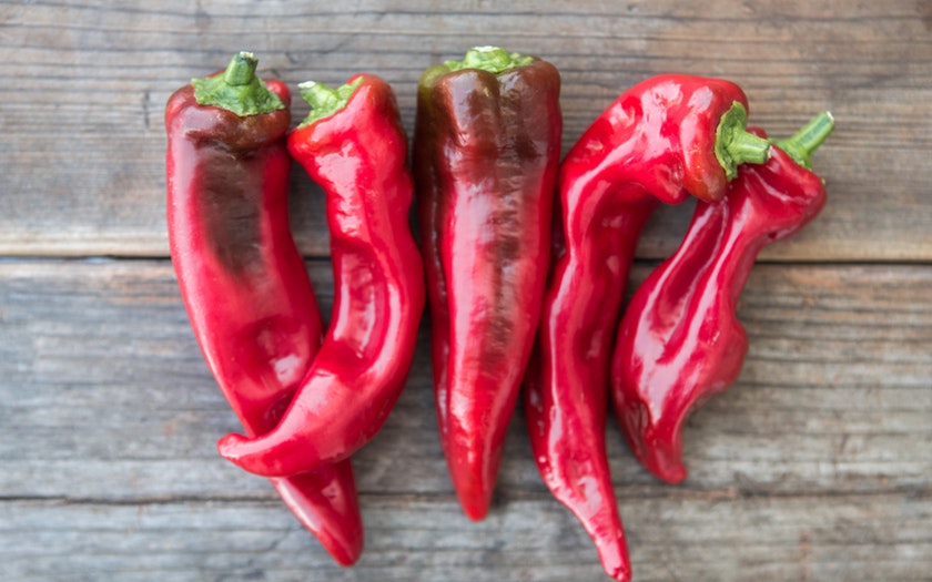 Seeds & Seed Bombs Italian Sweet Frying Pepper Outdoor & Gardening Home