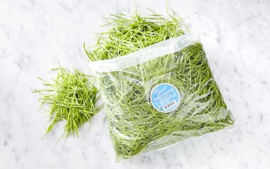 Bulk Organic Cut Wheatgrass
