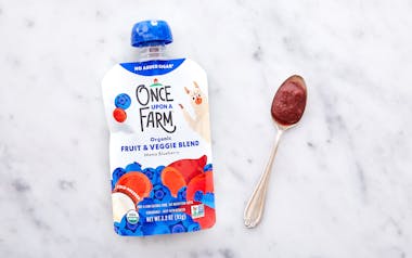 Organic Blueberry Coconut Oil Baby Food (7+ mos)