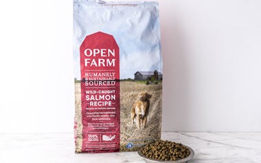 Wild-Caught Salmon Recipe Dry Dog Food