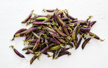 Organic Purple Sugar Snap Peas