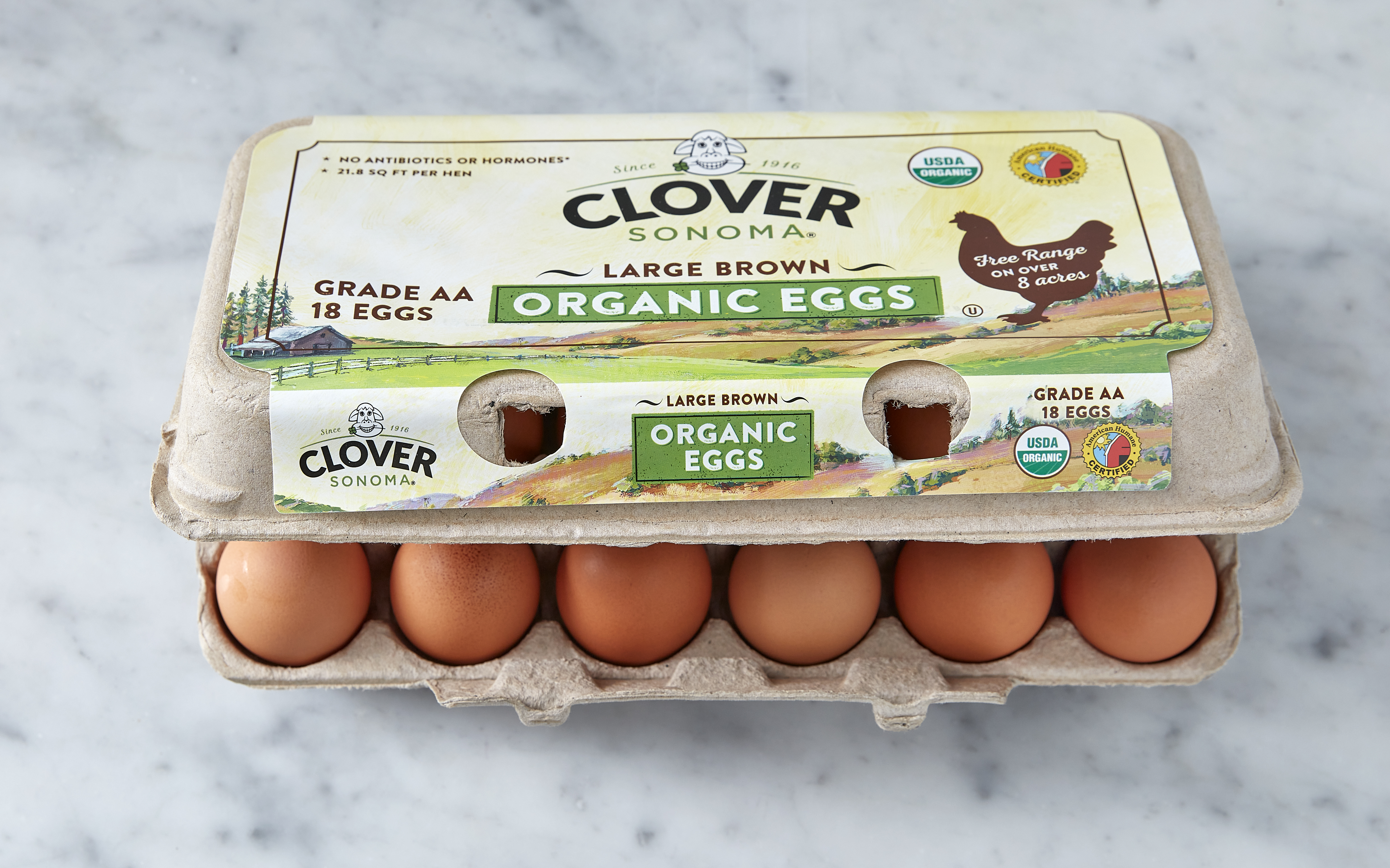 Organic Cage Free Brown Eggs (Large) 1.5 dozen Clover Sonoma Good