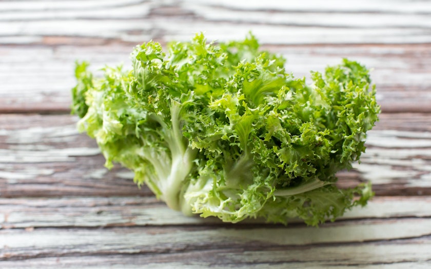 Frisee Curly Endive Oak Hill Farm Of Sonoma Sf Bay Good Eggs Frisee Curly Endive Oak Hill Farm Of Sonoma Sf Bay Good Eggs