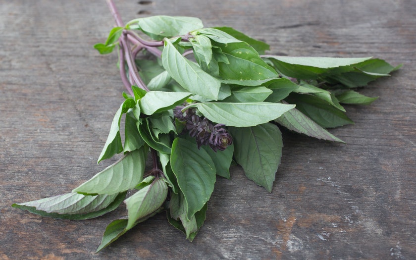 Organic Thai Basil | 1 bunch | Fifth Crow Farm | Good Eggs