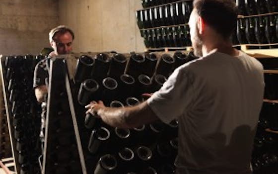 Rimarts Cava